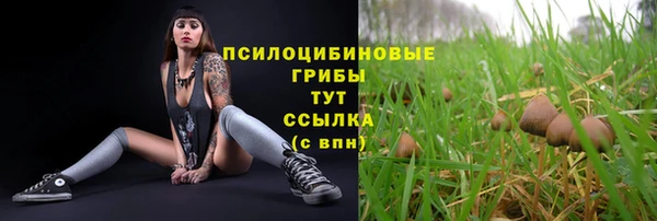 кокс Семилуки