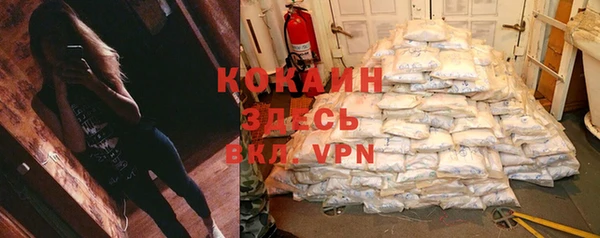 PSILOCYBIN Белокуриха